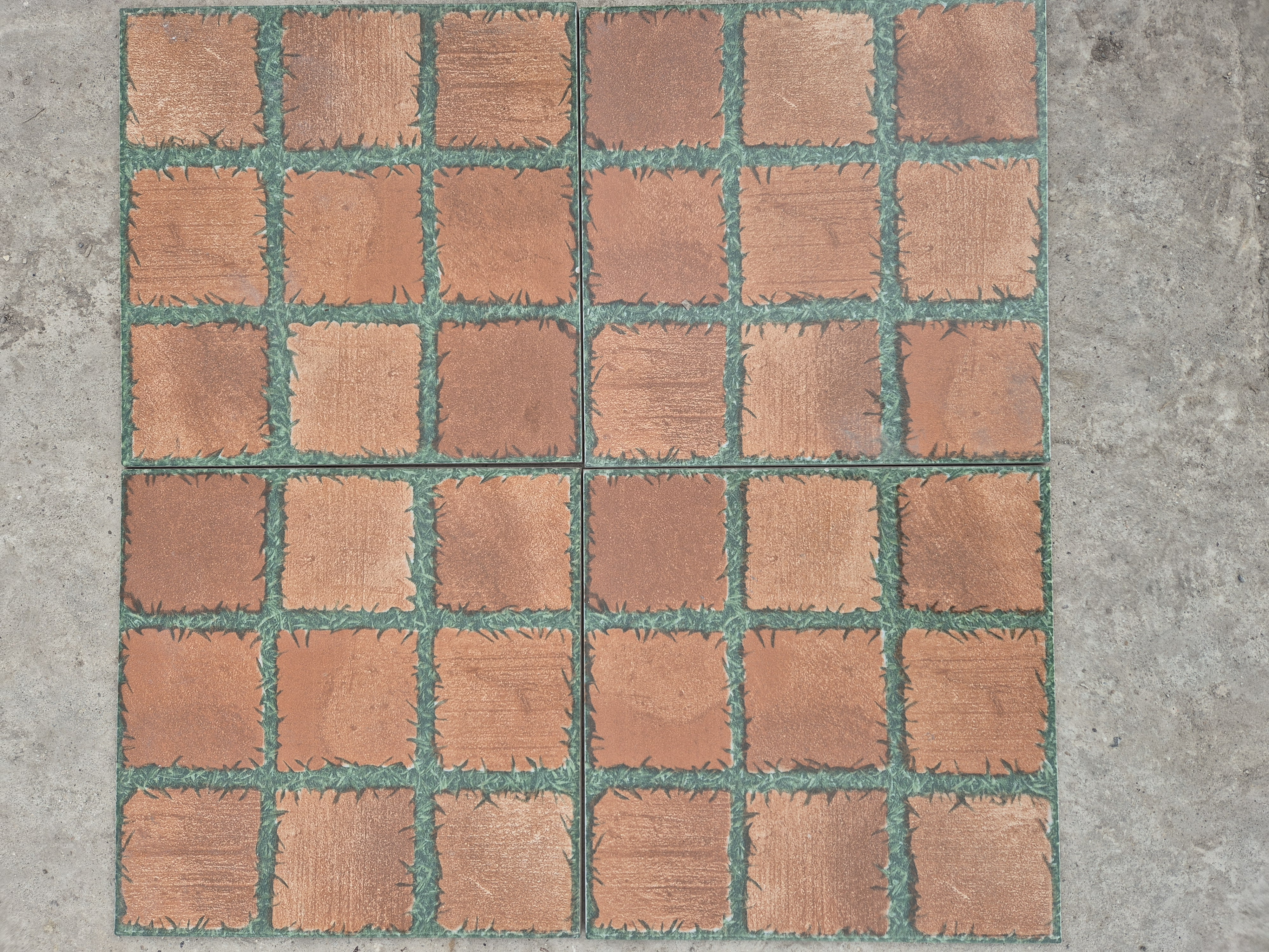 Evergreen pave cotto